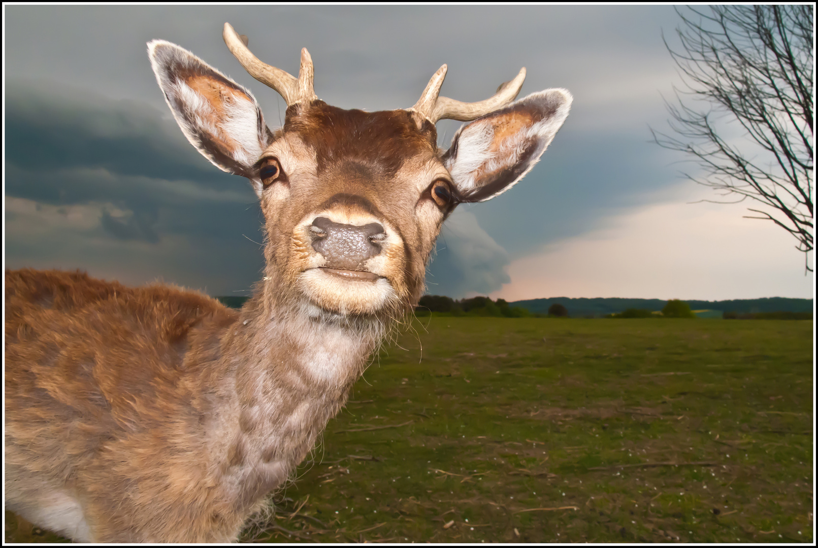 .. tierisch neugierig