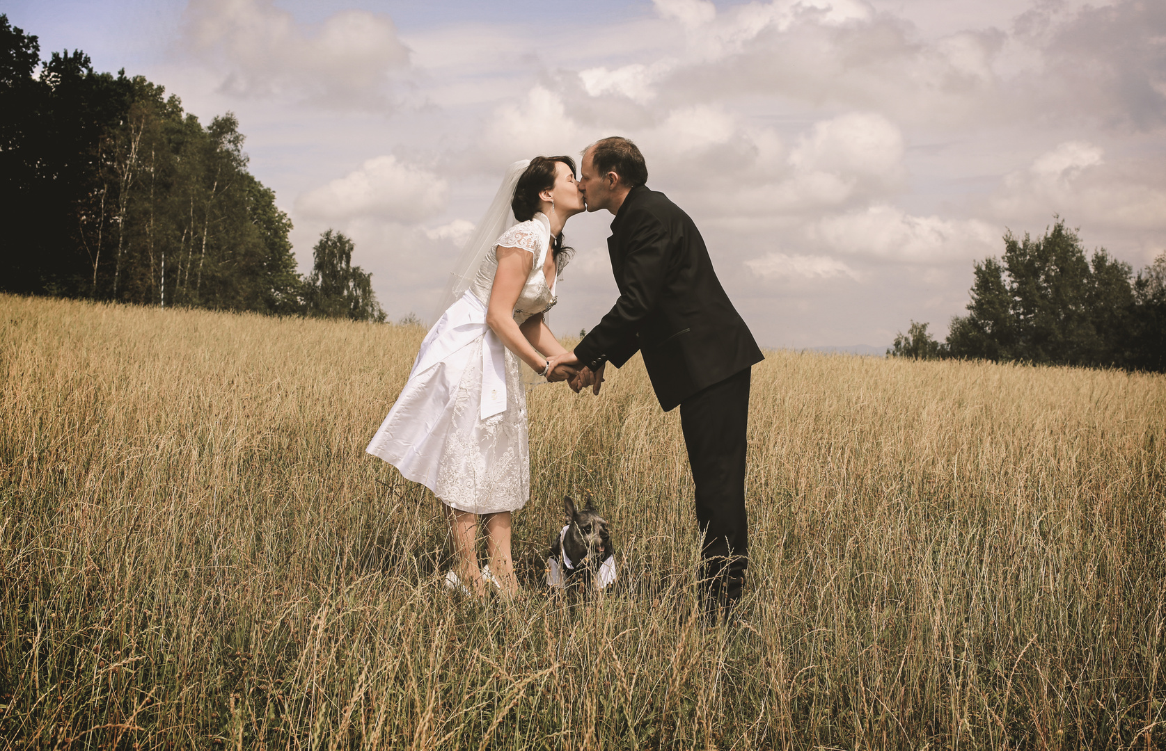 Tierisch - Trachtige Hochzeit