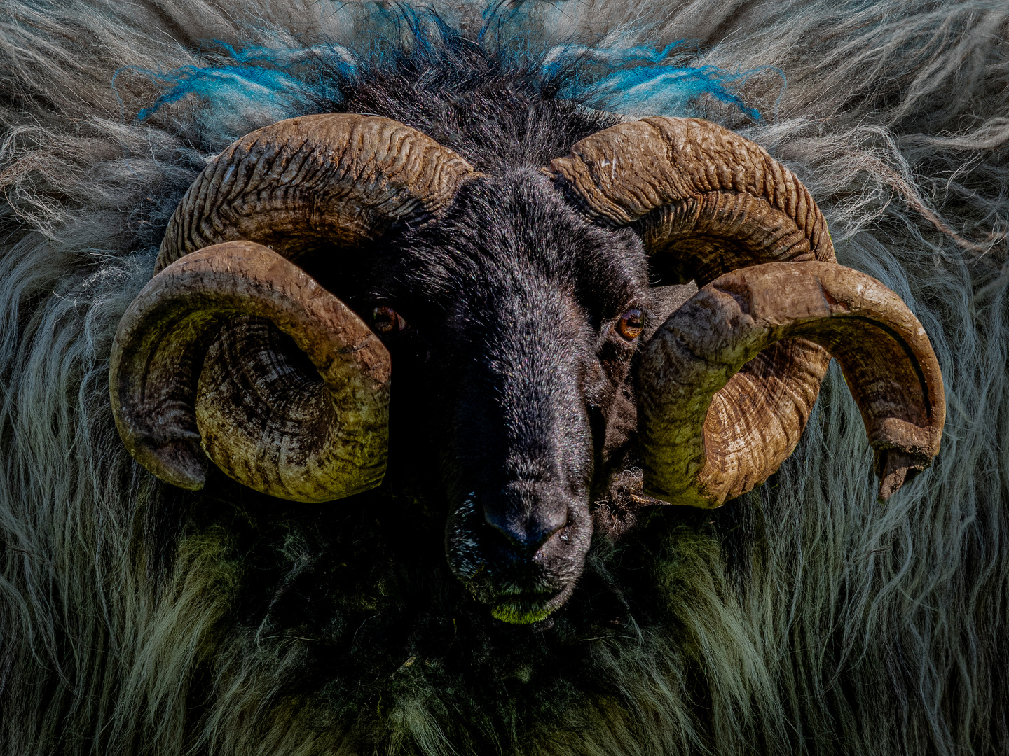 Tierische Begegnungen...