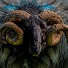 Tierische Begegnungen...