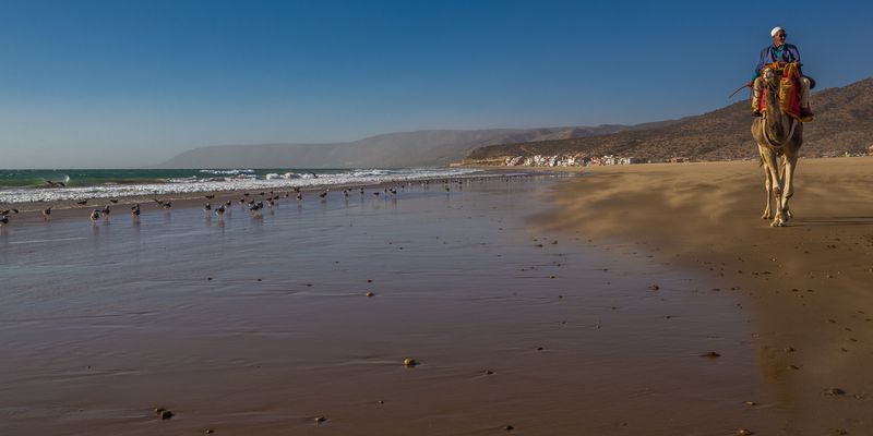 Tierische Begegnungen