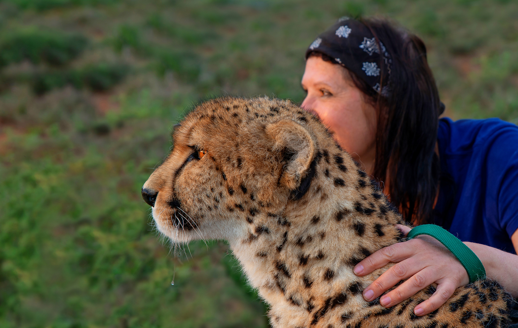 Tierische Freundschaft