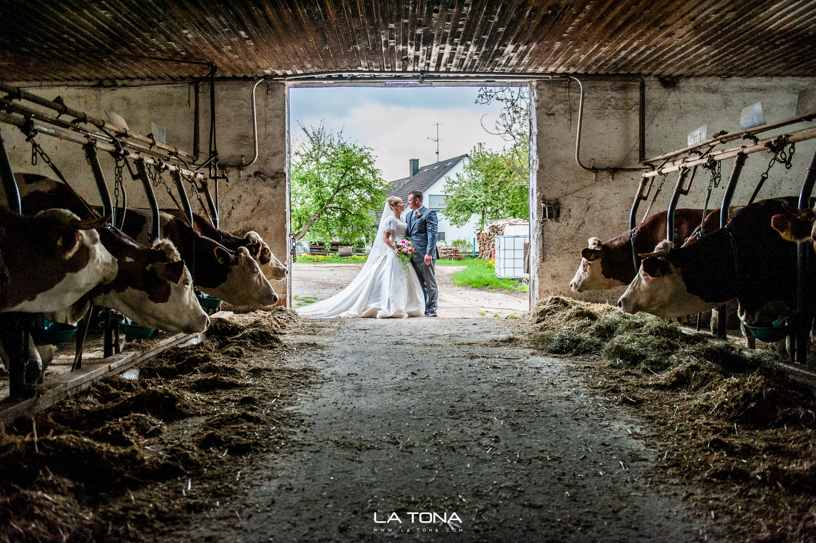 tierische hochzeit in fürth