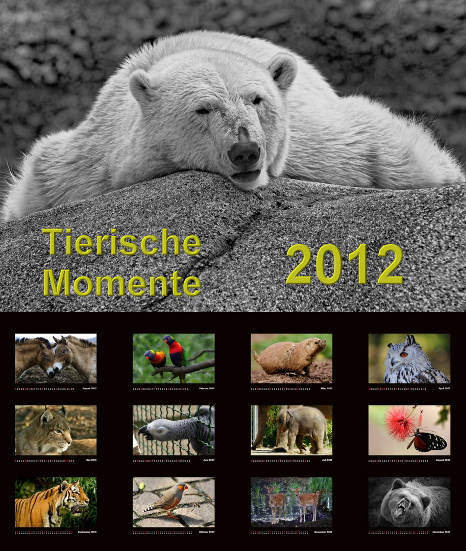 Tierische Momente 2012