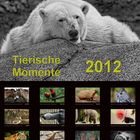 Tierische Momente 2012