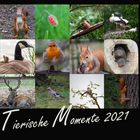 Tierische Momente 2021