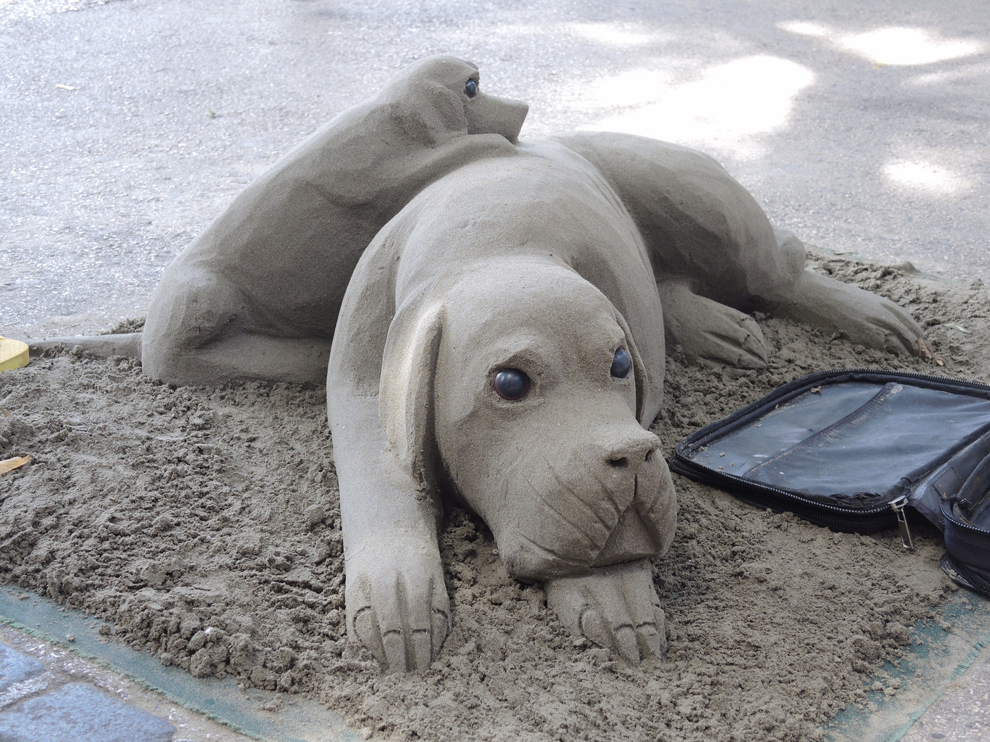 Tierische Sandkunst