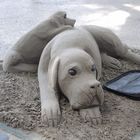 Tierische Sandkunst