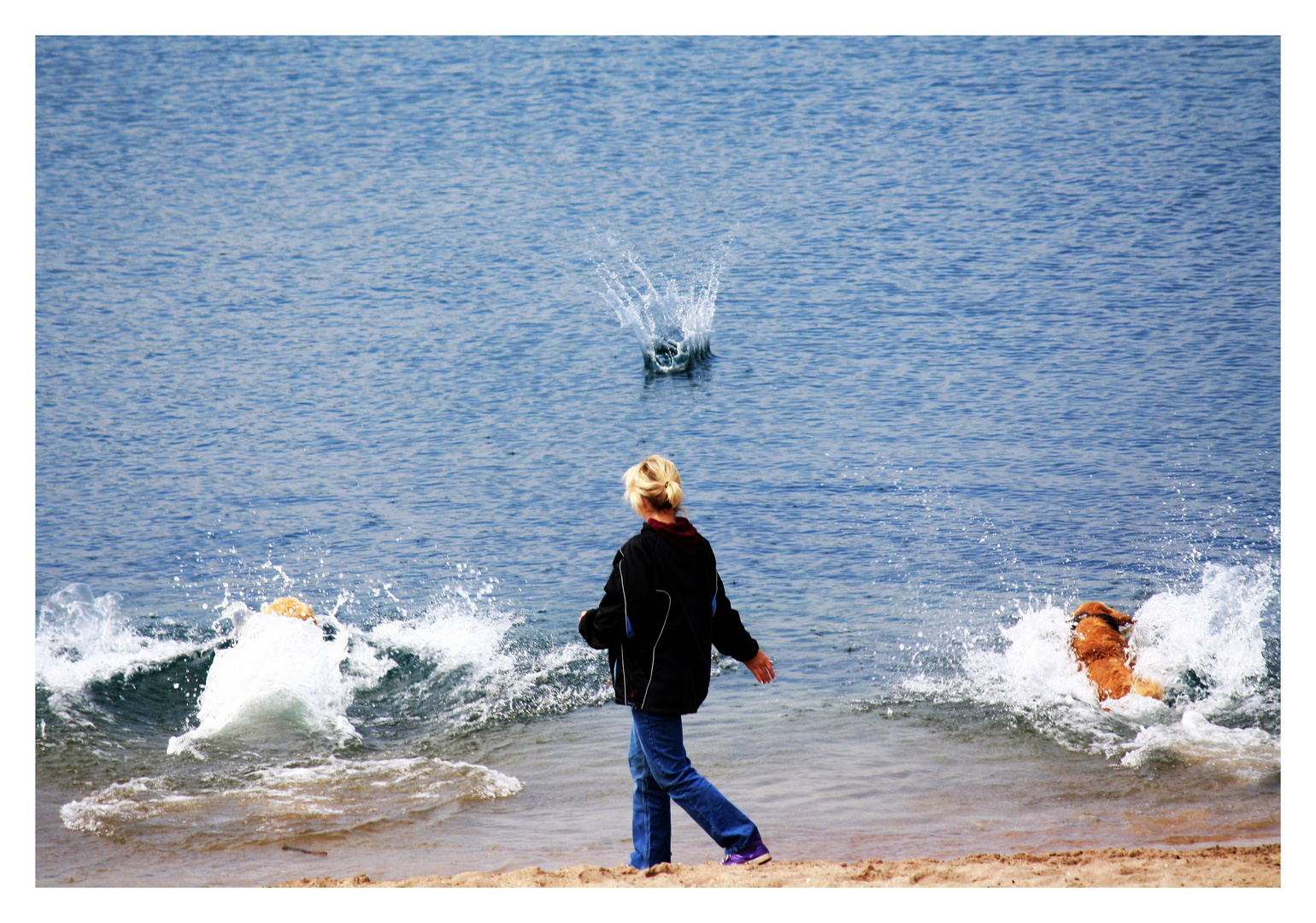 Tierische Wasserspiele