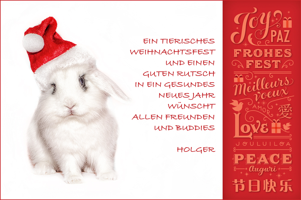 tierische weihnachten!