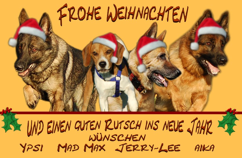 Tierische Weihnachtsgrüße ...