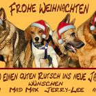 Tierische Weihnachtsgrüße ...