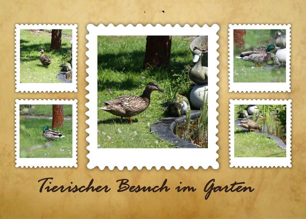 Tierischer Besuch im Garten