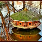 Tierischer Bungalow im Teich