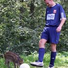 Tierischer Fußball-Nachwuchs