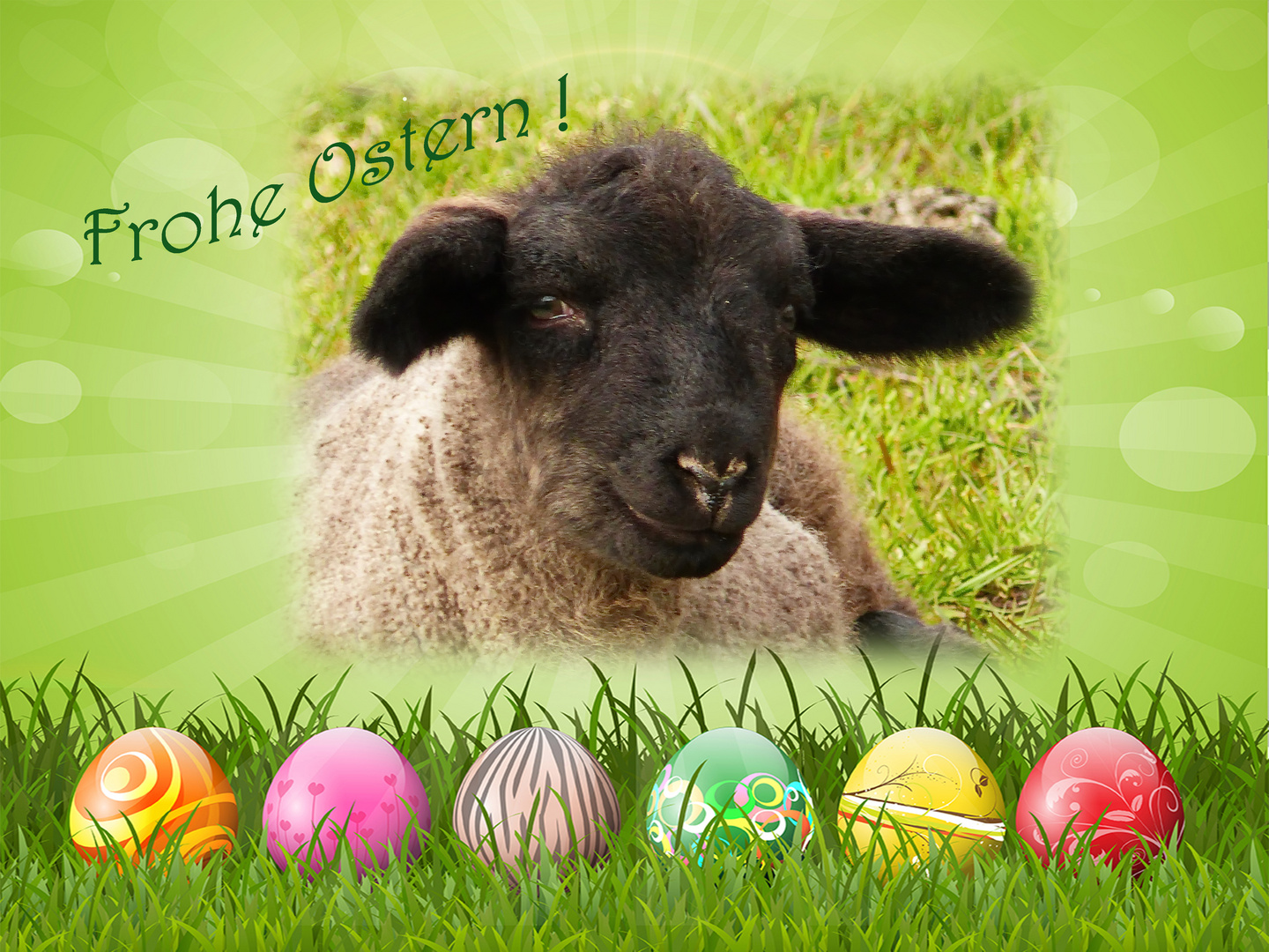 Tierischer Ostergruß