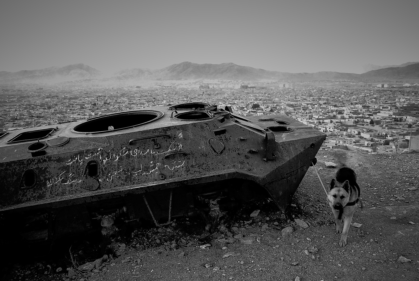 Tierischer Parkplatzwächter über Kabul