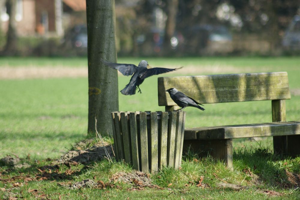 Tierischer Picknick-Korb