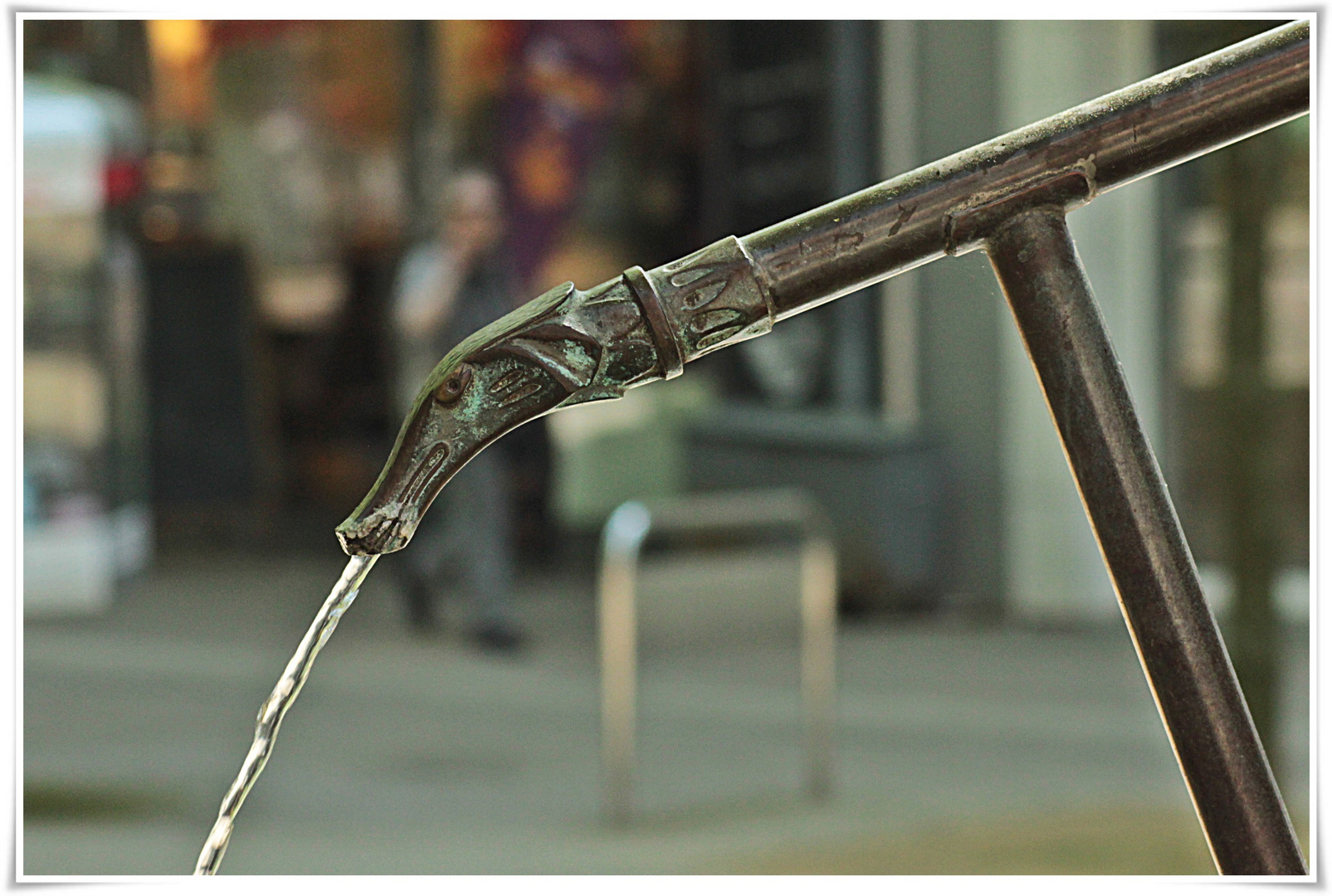 Tierischer Wasserspender