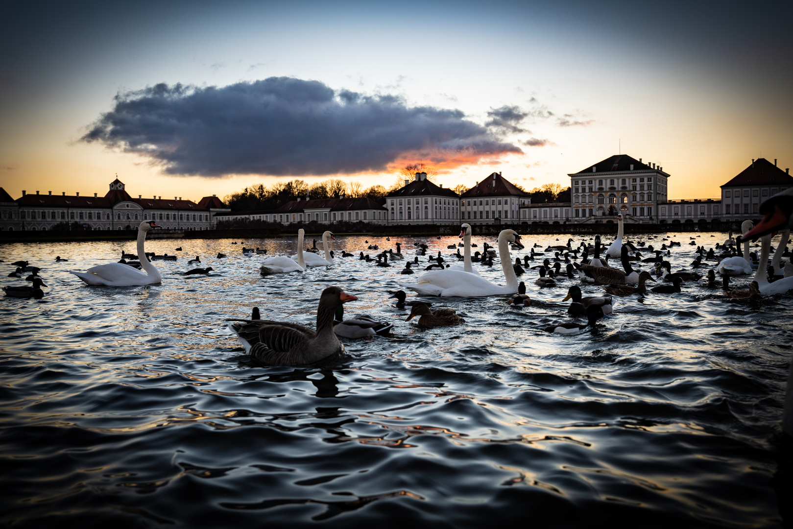 Tierisches Nymphenburger Schloss 