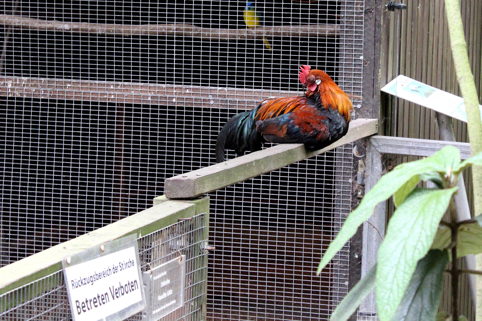 Tierisches zum Zweiten