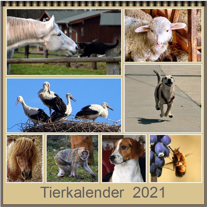 Tierkalender 2 Foto & Bild  spezial, natur, tiere Bilder auf fotocommunity