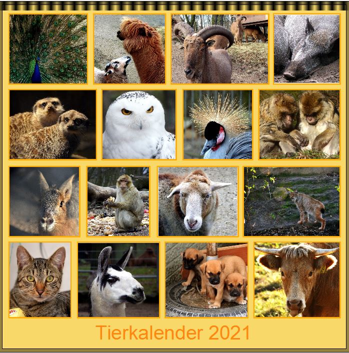 Tierkalender 