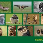 Tierkinder