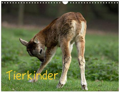 Tierkinder