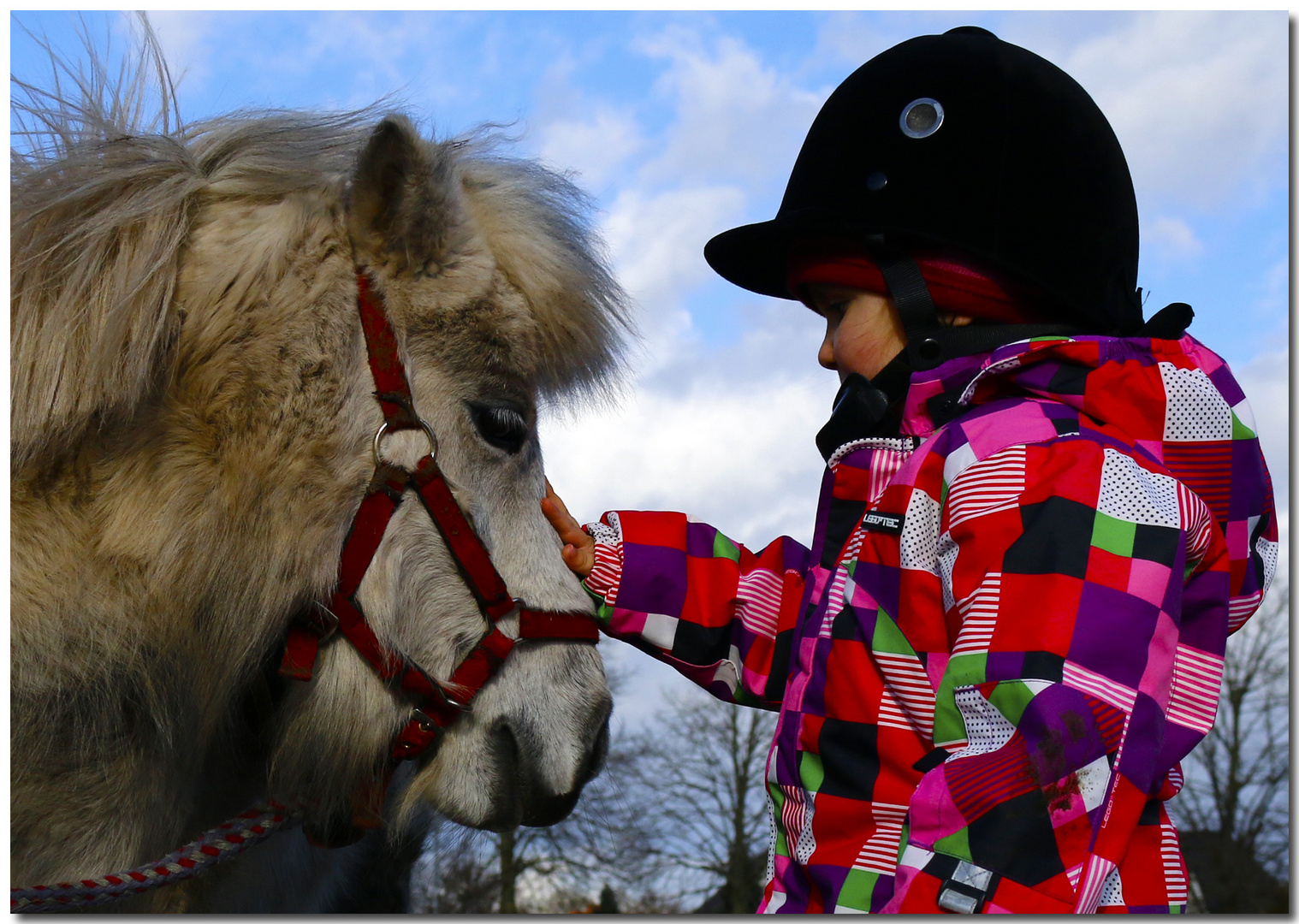 Tierliebe