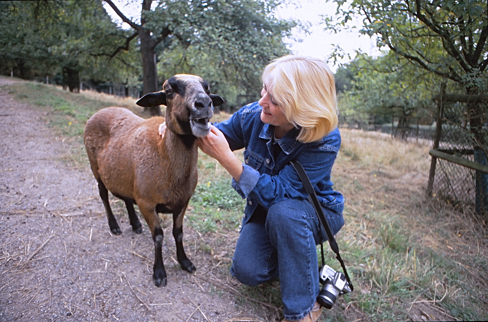 Tierliebe 4