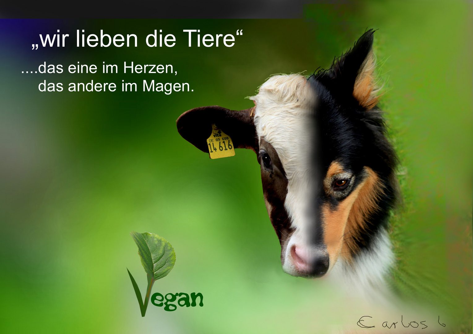 Tierliebe