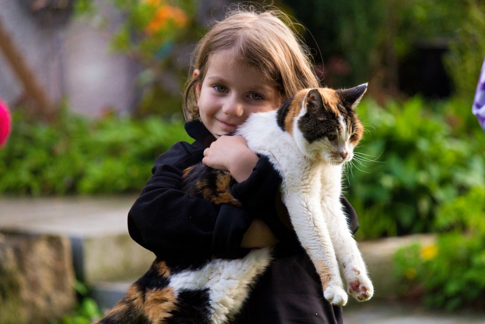Tierliebe Foto & Bild | kinder, liebe, mädchen Bilder auf fotocommunity