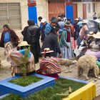 Tiermarkt im Dorf