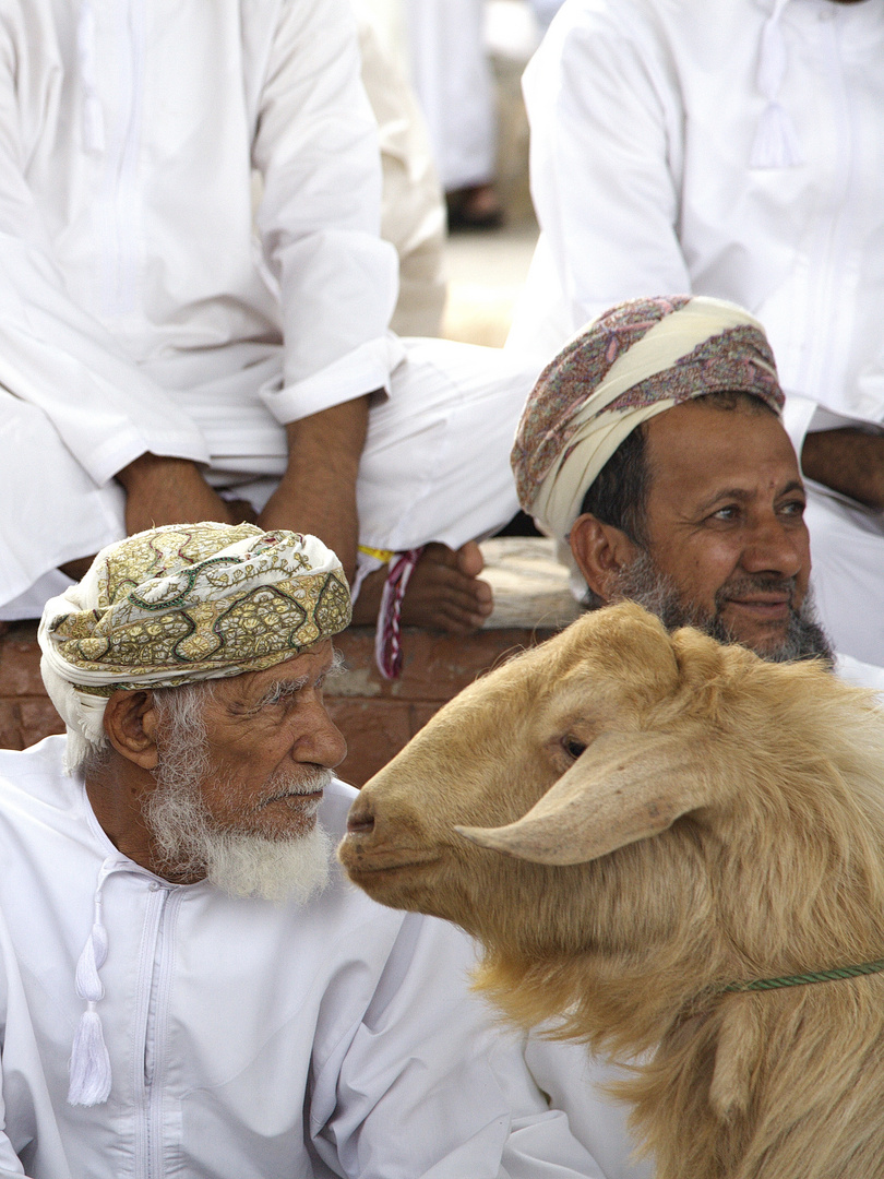 Tiermarkt im Oman