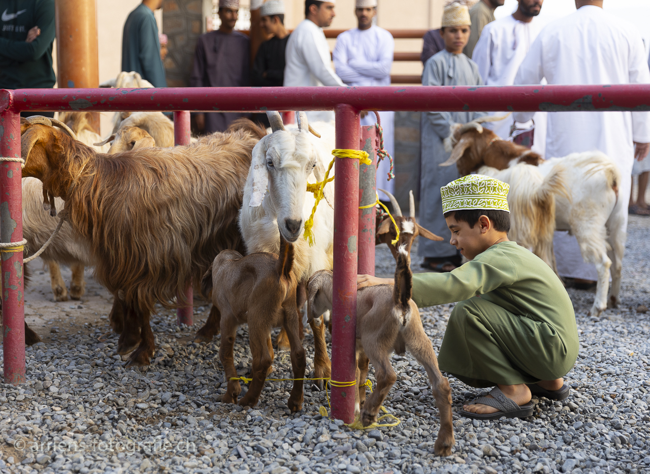 Tiermarkt Nizwa