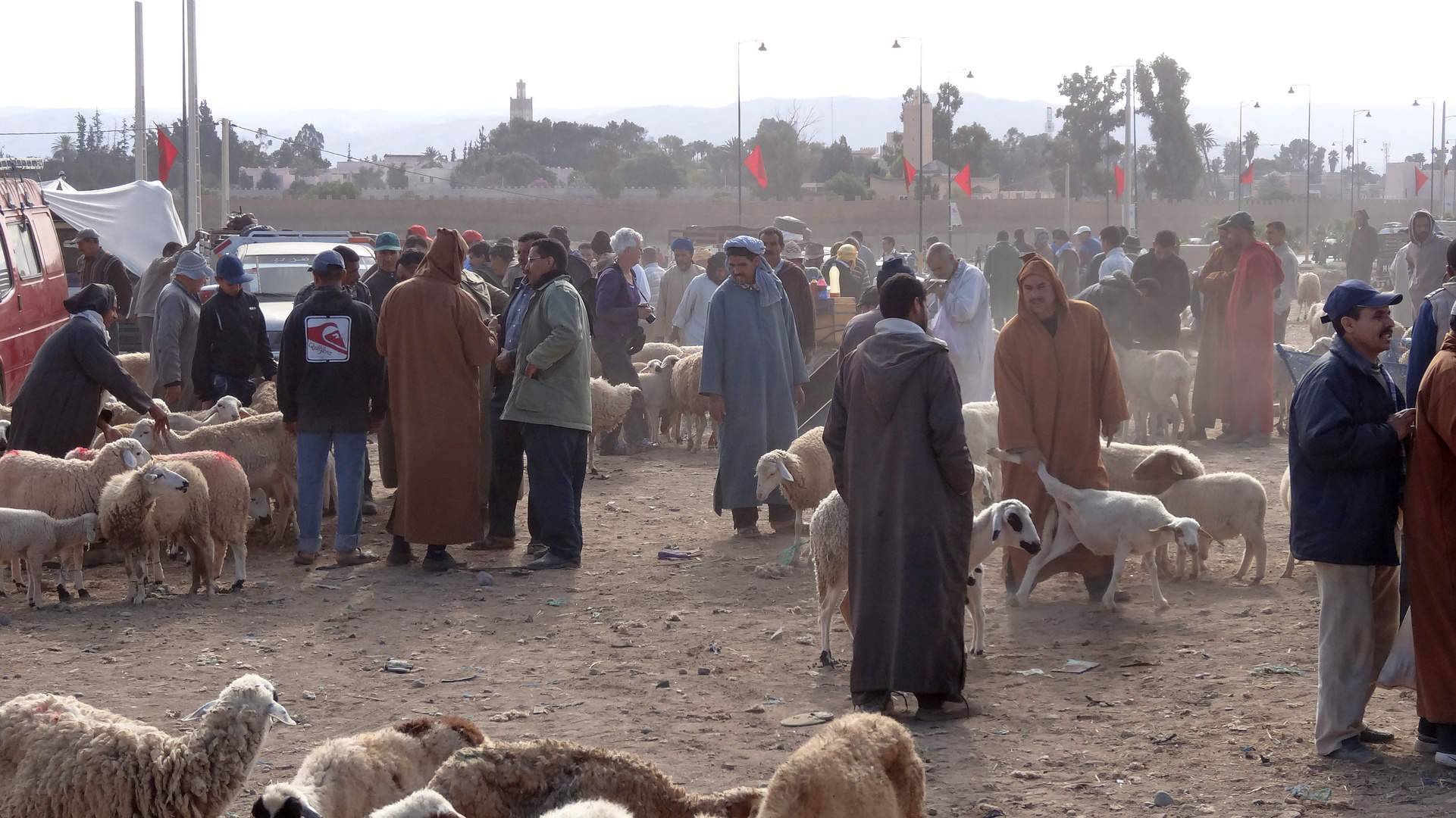 Tiermarkt Taroudant