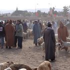 Tiermarkt Taroudant