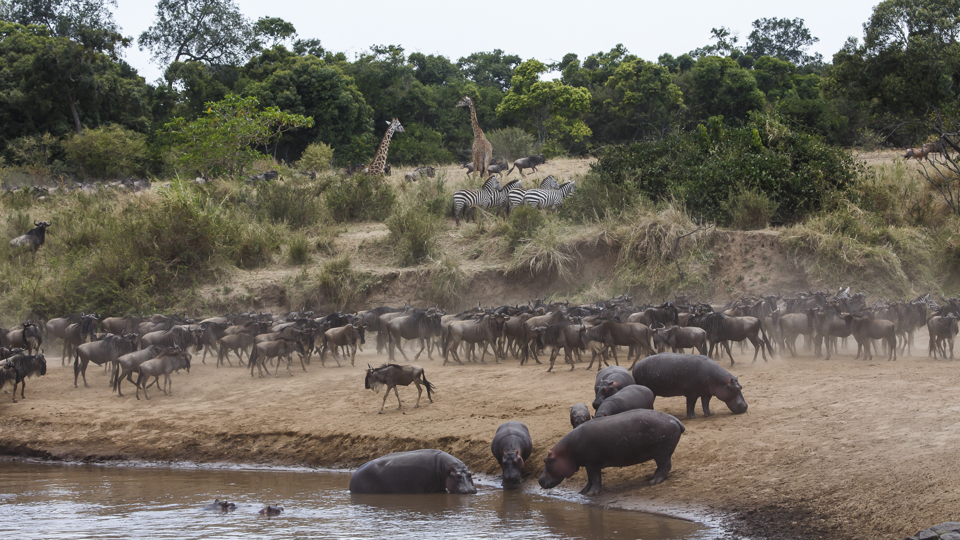 Tierparadies