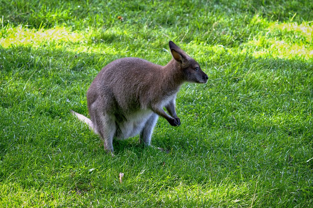 Tierpark 04