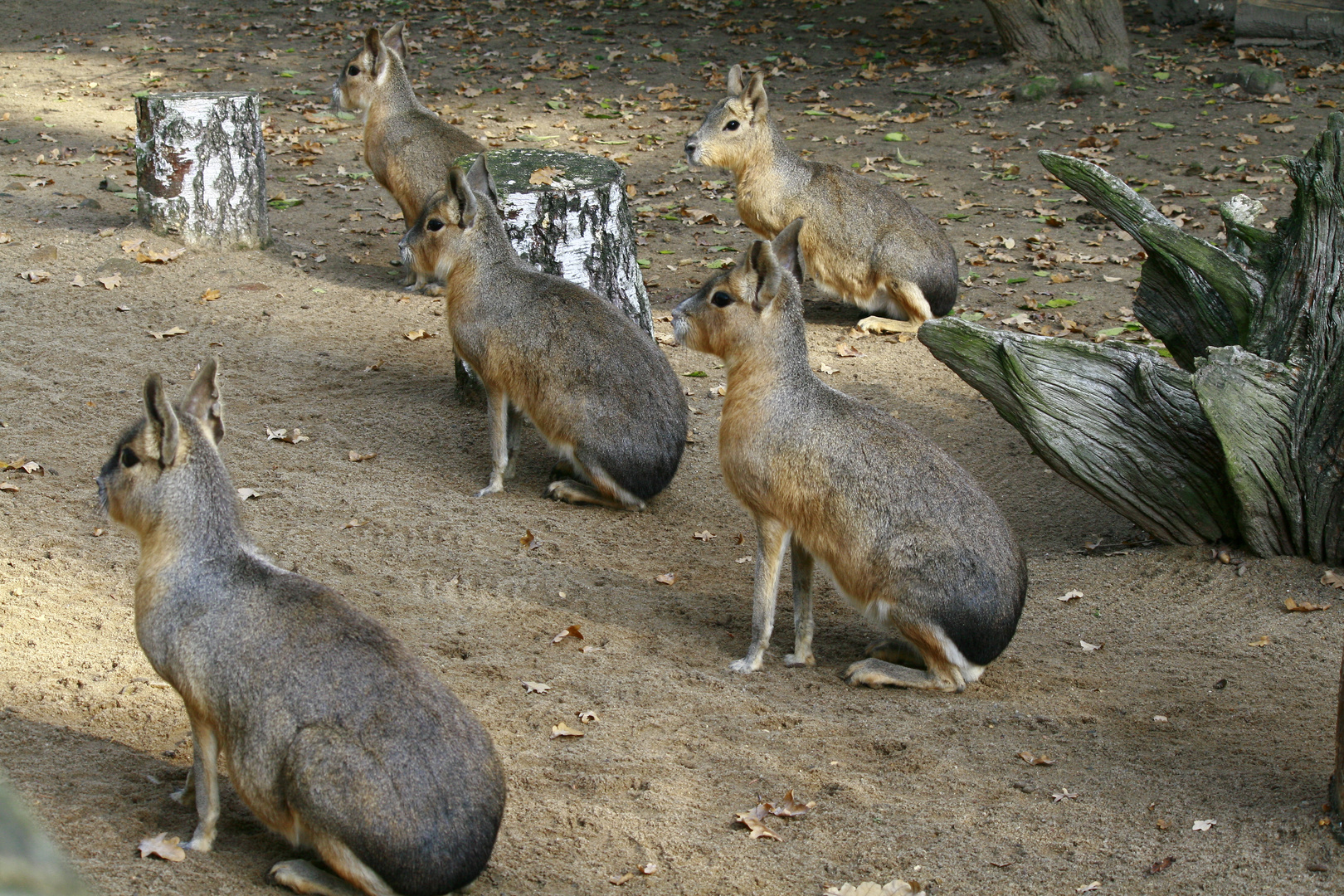 Tierpark 2