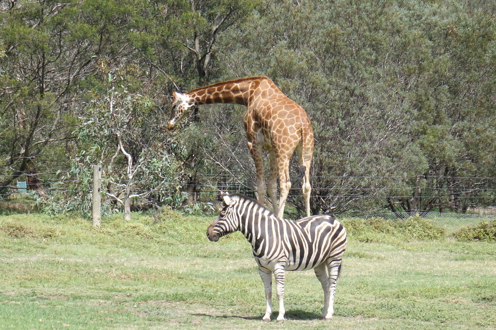 Tierpark