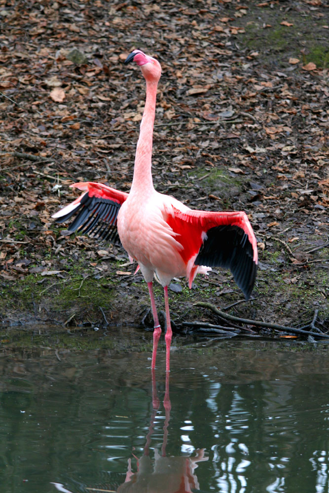 Tierpark Aachen