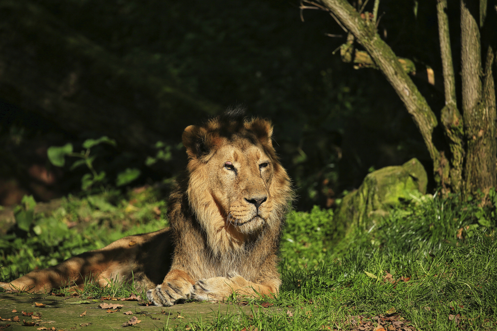 Tierpark