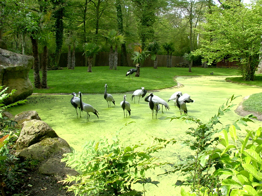 Tierpark Amneville (Frankreich)