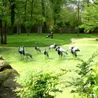 Tierpark Amneville (Frankreich)