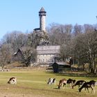 Tierpark an der Wildenburg