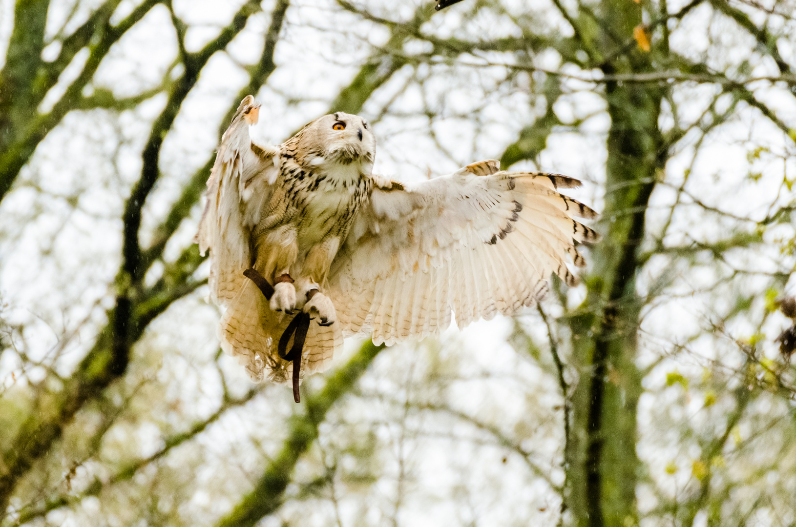 Tierpark Bad Mergentheim