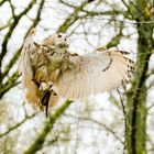 Tierpark Bad Mergentheim