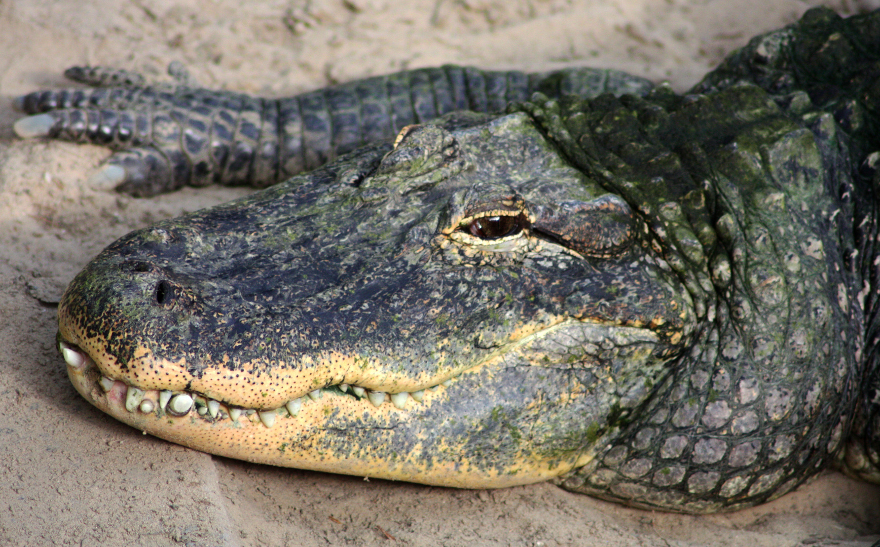 Tierpark Berlin 1